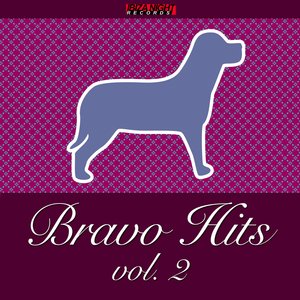 Bravo Hits Vol.2