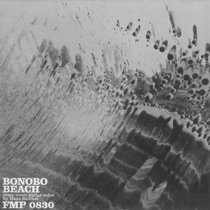 Bonobo Beach: Some More Guitar Solos