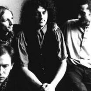 La Société des timides à la parade des oiseaux photo provided by Last.fm