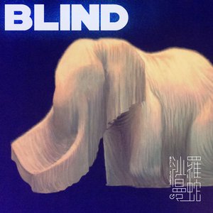 盲者Blind