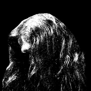 Forgotten Sepulcher 的头像