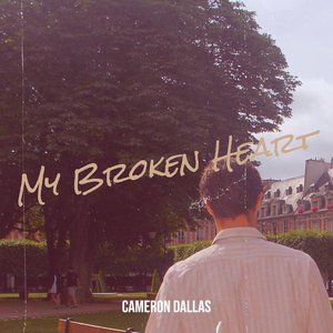 My Broken Heart