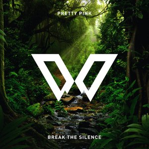 Break the Silence