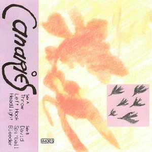 Canaries Demo