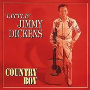Artwork for Hillbilly Fever