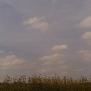 Beginning
