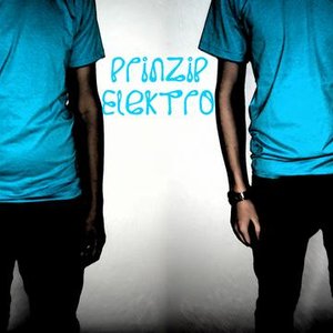 Avatar for Prinzip Elektro