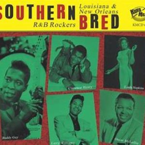 Southern Bred, Vol. 14 - Louisiana and New Orleans R&B Rockers - I Love to Rock 'n' Roll