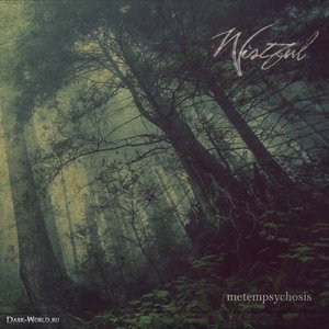 Metempsychosis