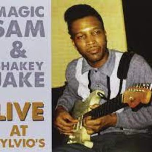 Image for 'Magic Sam and Shakey Jake'