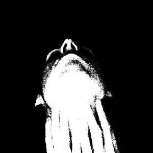 Avatar di Ancient Morass