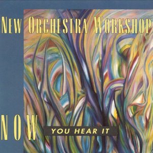 New Orchestra Workshop 的头像