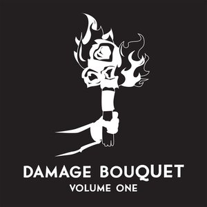 Damage Bouquet, Vol. 1