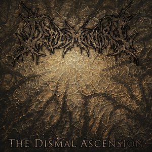 The Dismal Ascension