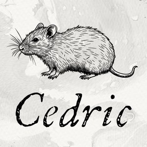 The Pub Mouse 的头像