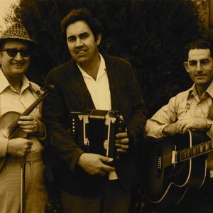 Dewey Balfa, Marc Savoy & D.L. Menard 的头像