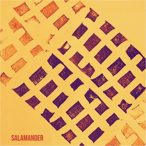 Salamander