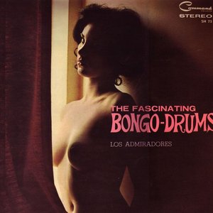 The fascinating Bongo-Drums