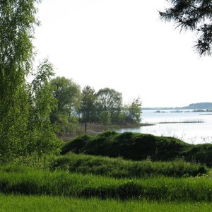 Село Яловка Красногорского района Брянской области 的头像