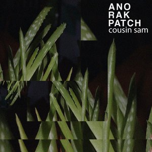 Cousin Sam - Single