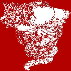 Kadaver Torso 的头像