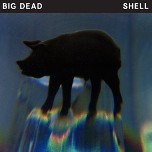 Shell