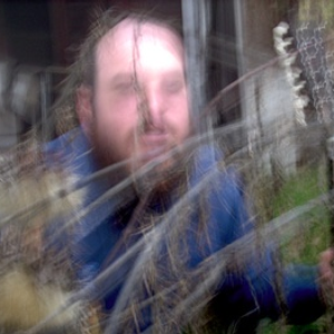 The Ivytree photo provided by Last.fm