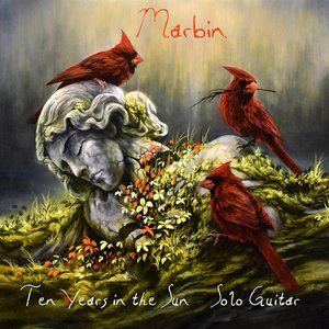Ten Years in the Sun (Solo Guitar)