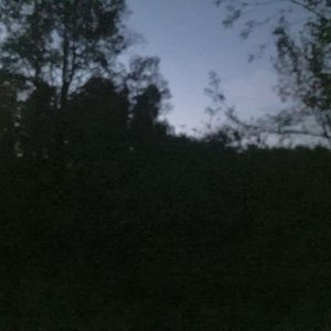gyxcQ 的头像