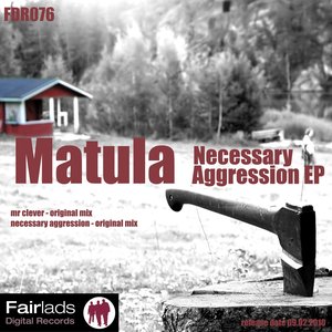 Necessary Agression EP