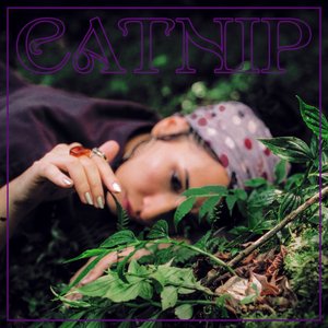 Catnip