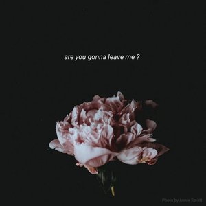 Are You Gonna Leave Me?
