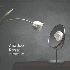 Amadeo Rossi 的头像