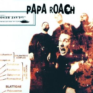 Last Resort (International Version)