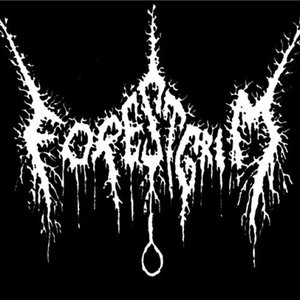 Forestgrim 的头像