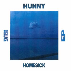 Homesick (Slenderbodies Remix) - Single