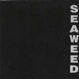 Seaweed