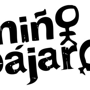 Avatar for Niño Pájaro