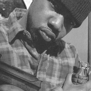 Avatar for Little Bruce