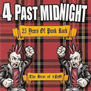 25 Years Of Punk Rock