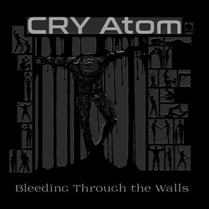 Cry Atom 的头像