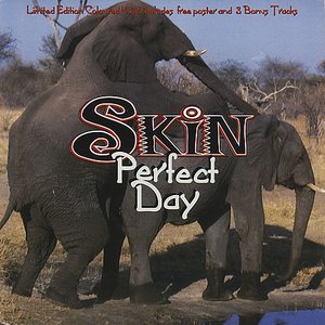 Perfect Day (disc 1)