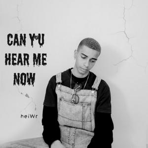 Artwork for Can You Hear Me Now