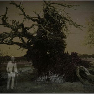 The Grimm Riddle 的头像