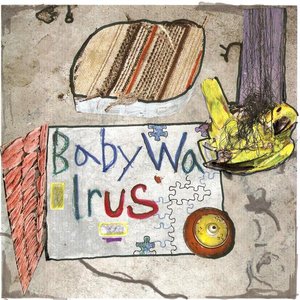 Baby Walrus 的头像