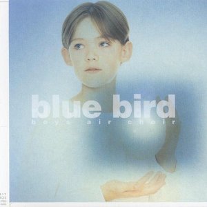 Blue Bird