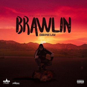 Brawlin