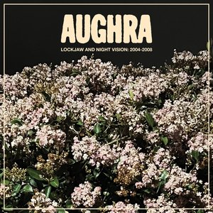 Lockjaw And Night Vision: 2004-2008