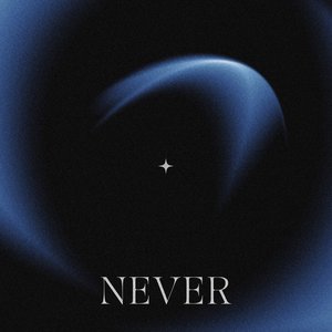 Never - Single