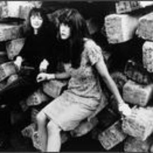 The Dear Janes photo provided by Last.fm